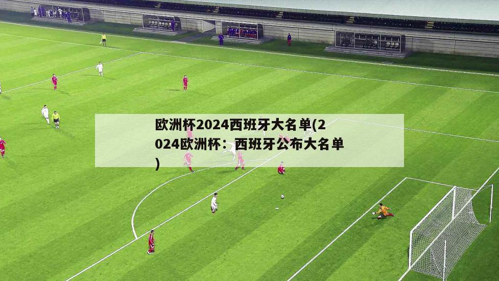 欧洲杯2024西班牙大名单(2024欧洲杯：西班牙公布大名单)