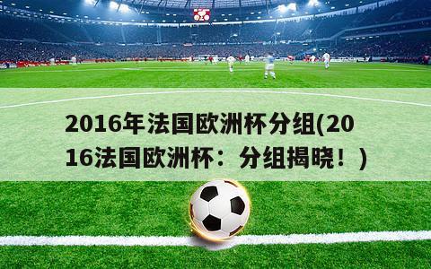 2016年法国欧洲杯分组(2016法国欧洲杯：分组揭晓！)